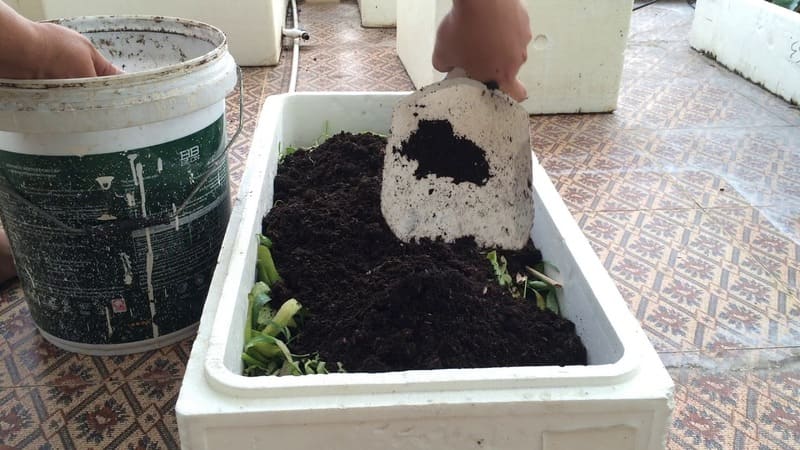 cach u rac thai nha bep trong rau