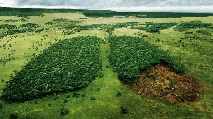 nguyen nhan gay o nhiem moi truong dat